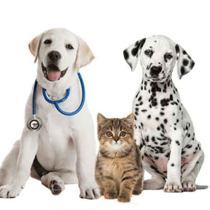 blog-fotos-3-1290-450