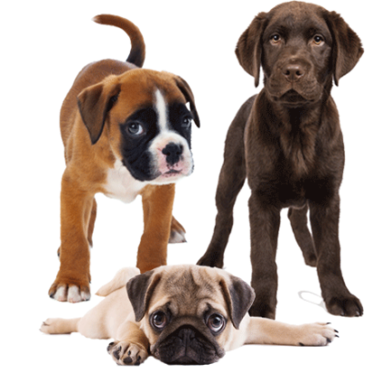 blog-fotos-4-1290-450